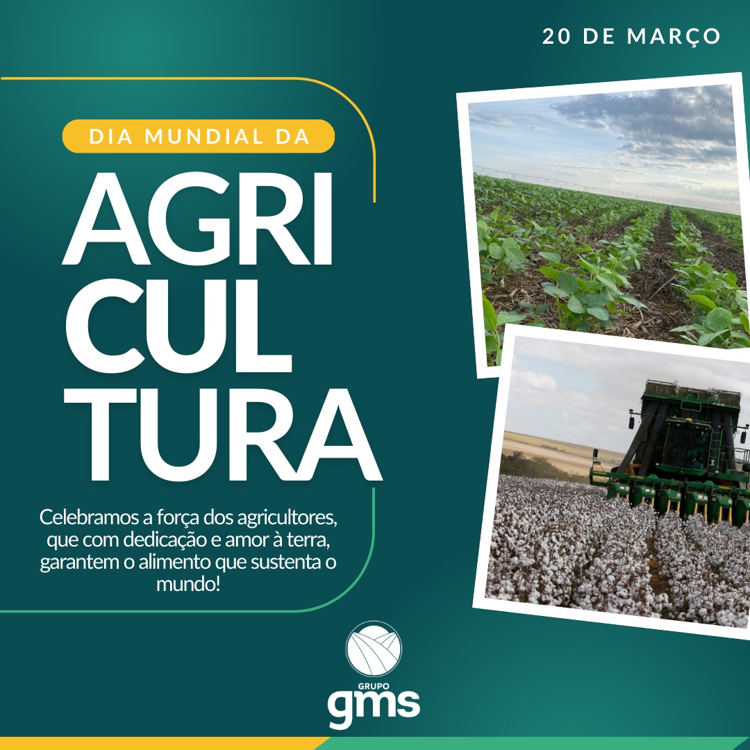 Imagem do WhatsApp de 2025-02-26 à(s) 13.17.31_96102a33.jpg