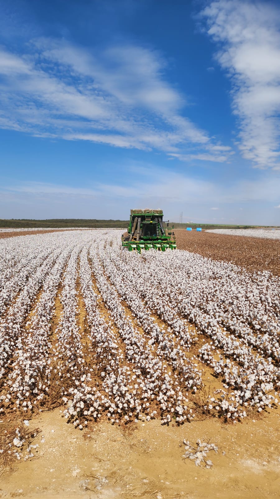 Imagem do WhatsApp de 2023-11-29 à(s) 15.51.45_ca960619.jpg