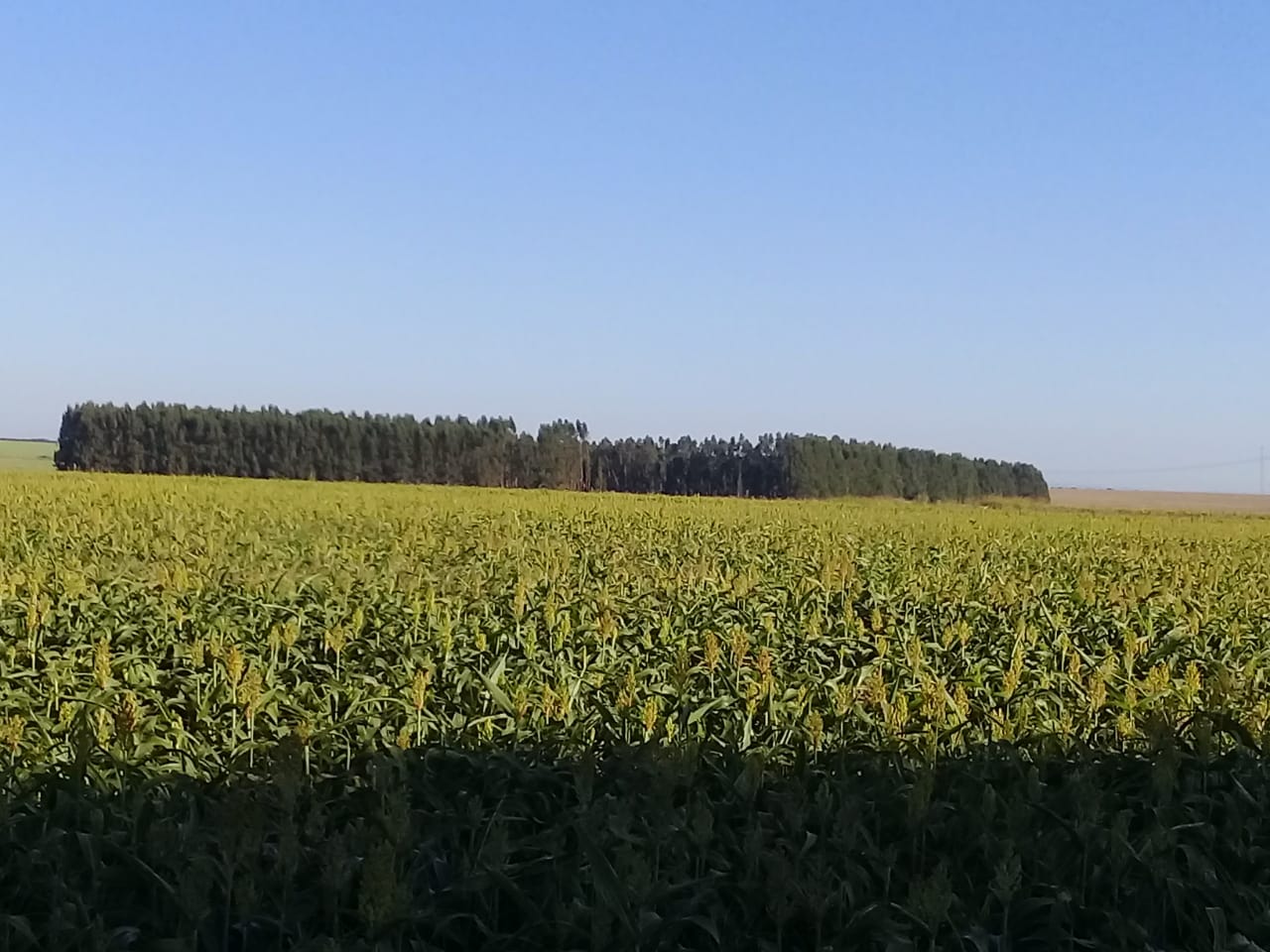 WhatsApp Image 2022-05-23 at 09.35.07 (2).jpeg