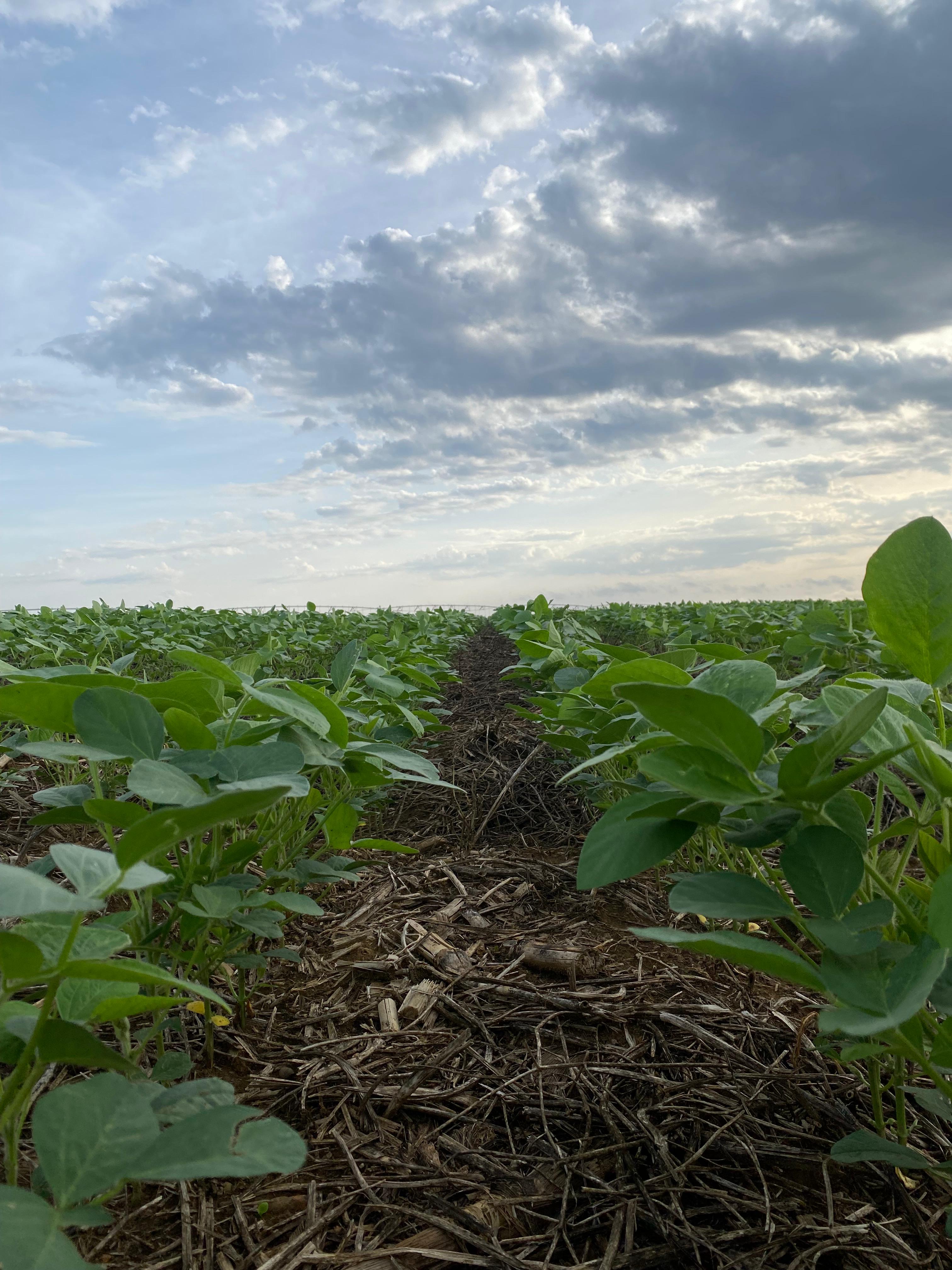 Imagem do WhatsApp de 2024-07-22 à(s) 19.16.11_5b77aa27.jpg