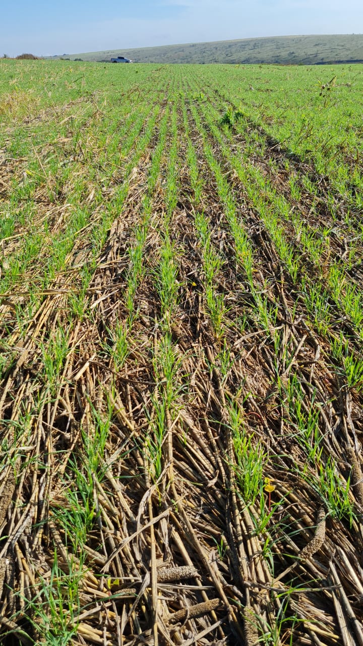 Imagem do WhatsApp de 2023-12-01 à(s) 16.57.15_05cc7b71.jpg