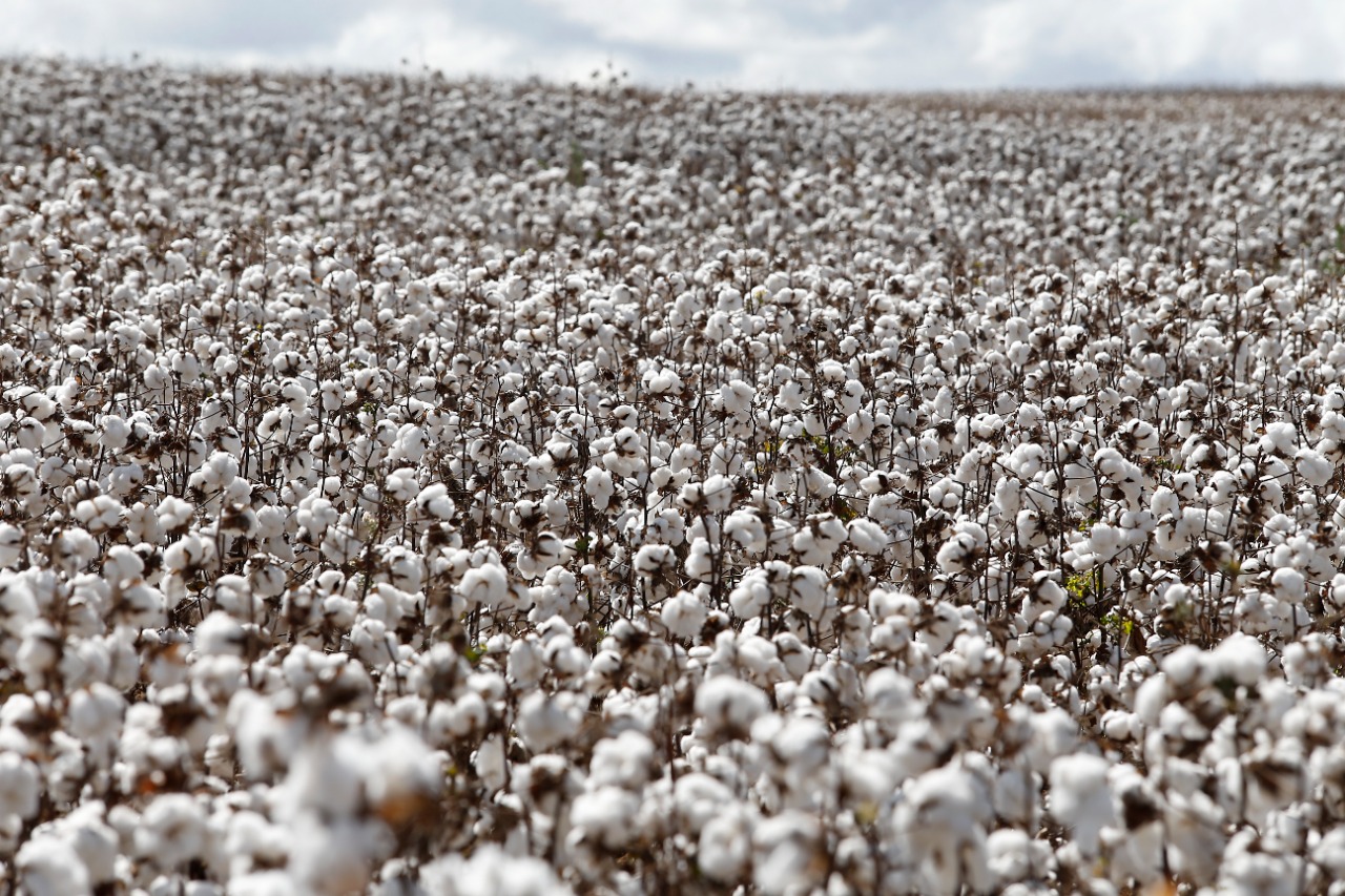 Imagem do WhatsApp de 2023-12-01 à(s) 16.57.24_73827fc2.jpg