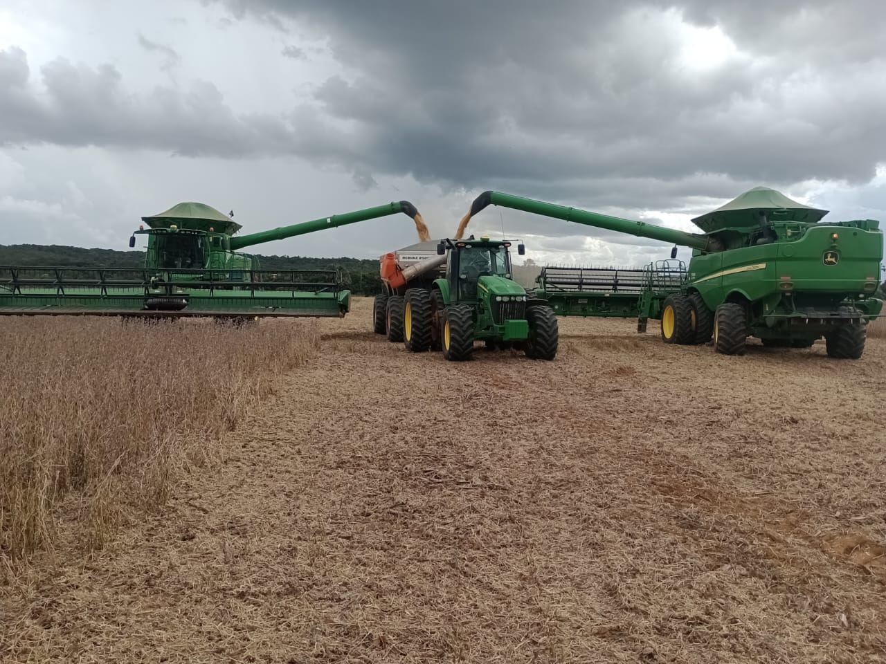 Imagem do WhatsApp de 2023-02-23 à(s) 15.19.48.jpg