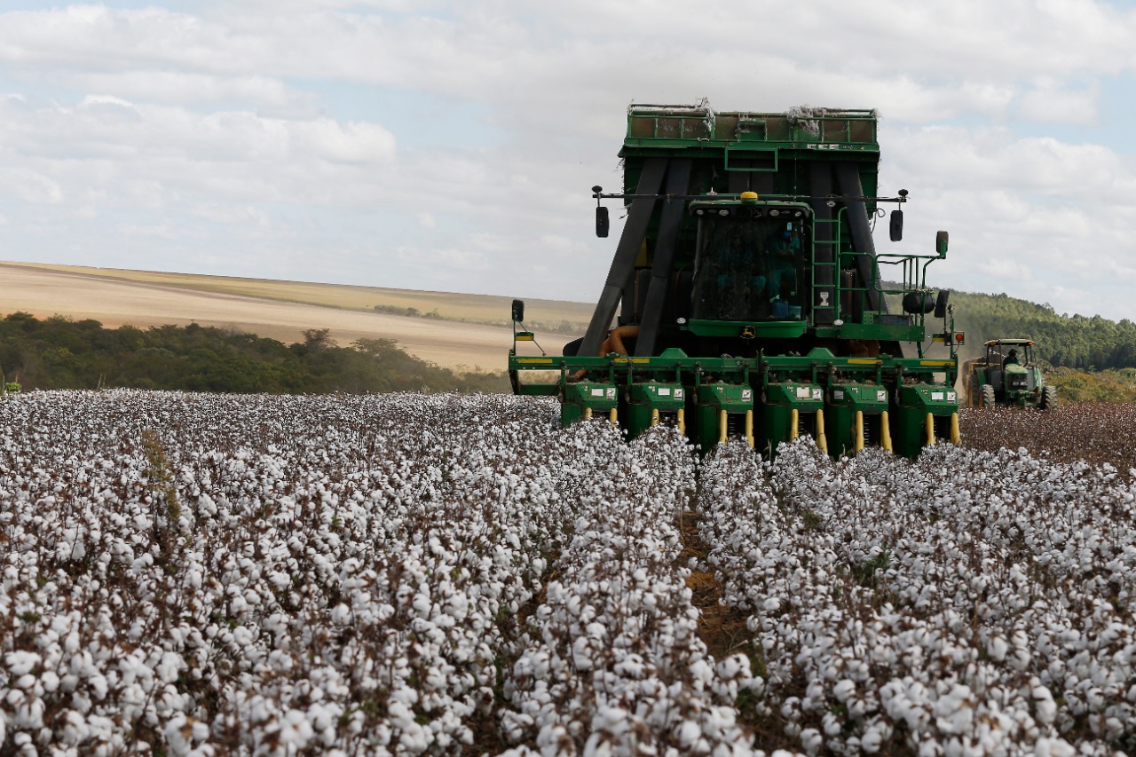 Imagem do WhatsApp de 2023-12-01 à(s) 16.57.24_eb101c44.jpg