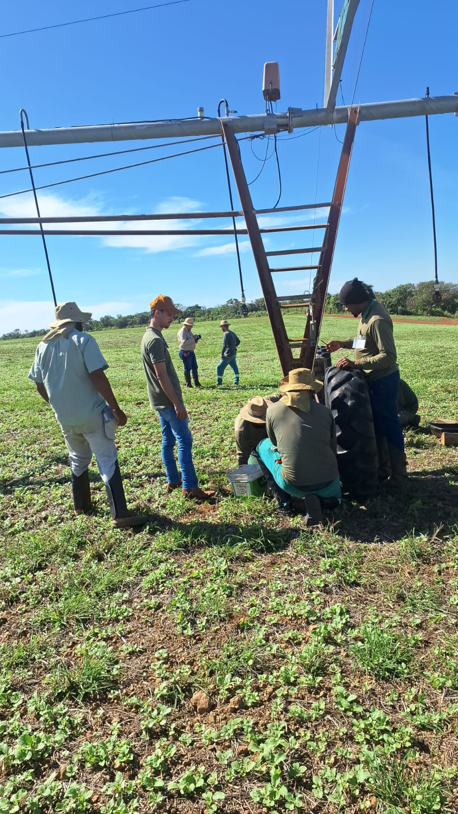 Treinamento Manutenção Pivo3.jpg